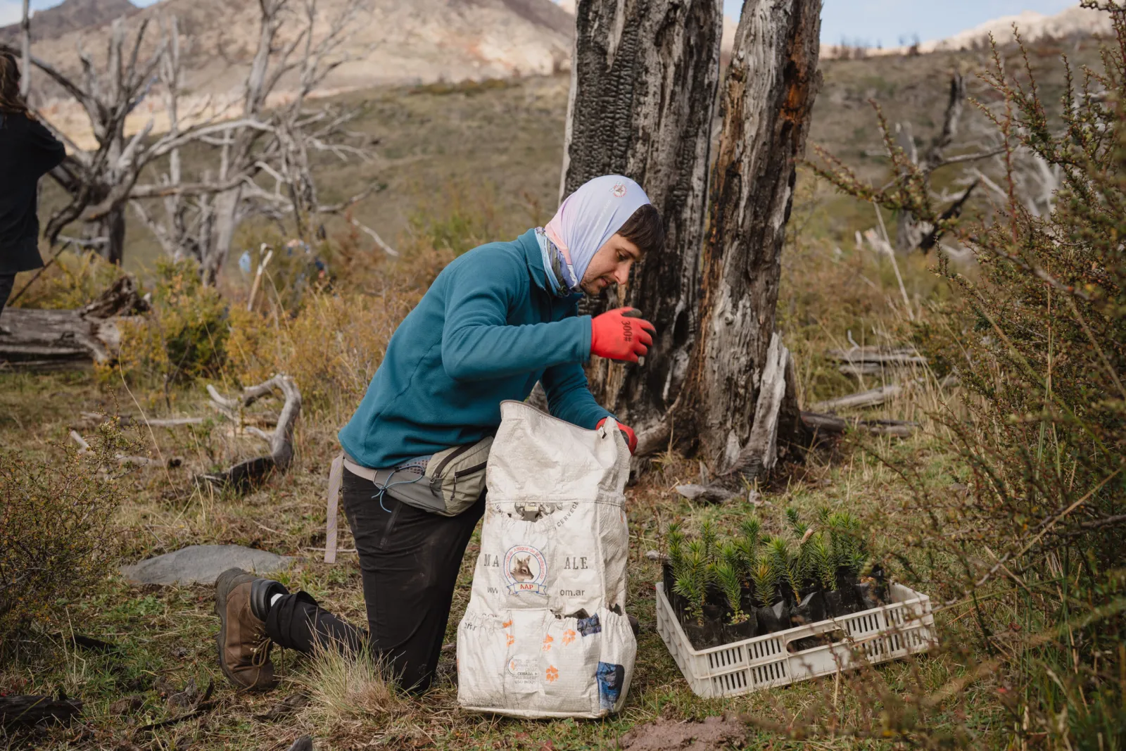 Acción de Nopal junto a Amigos de la Patagonia